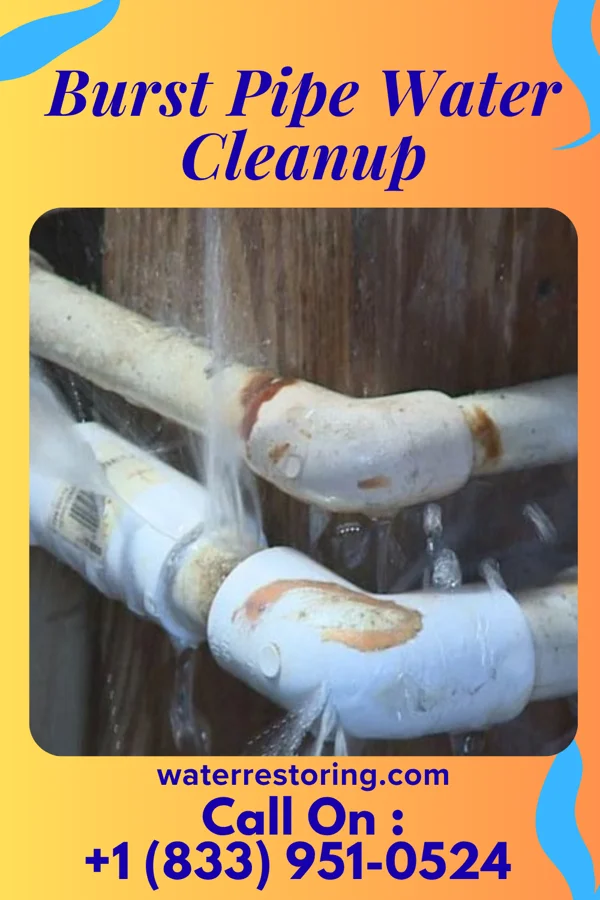 Burst Pipe Water Cleanup in Yorketown, NJ