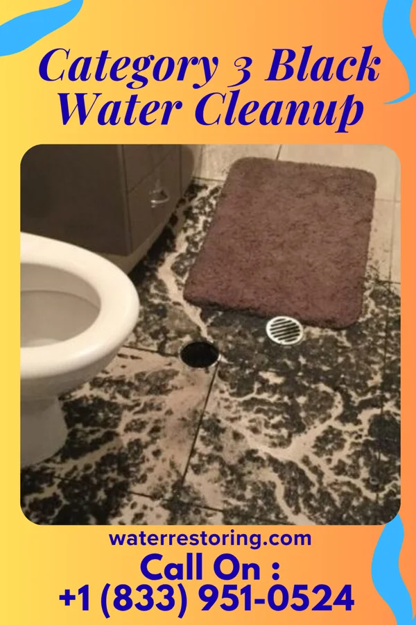 Category 3 Black Water Cleanup in Yorketown, NJ