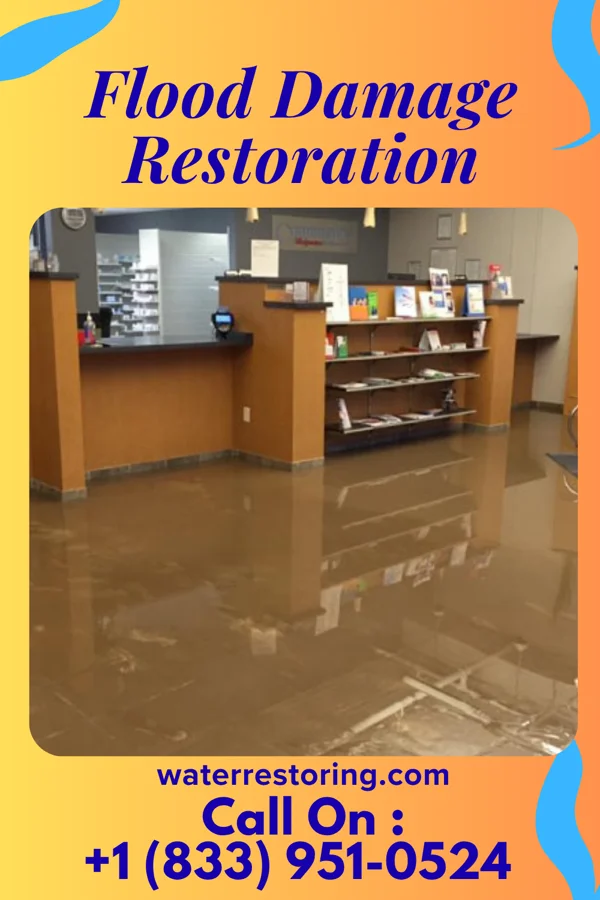 Flood Damage Restoration in Yorketown, NJ