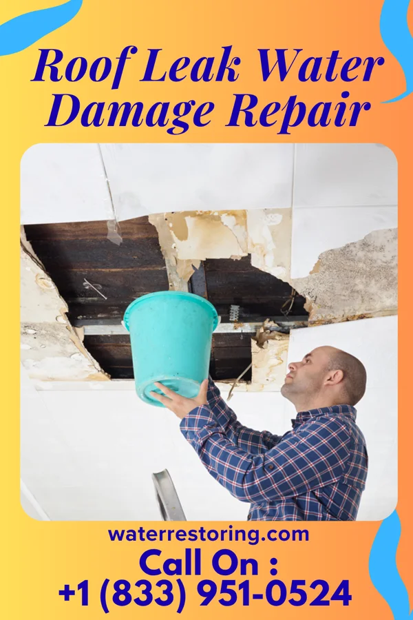 Roof Leak Water Damage Repair in Yorketown, NJ