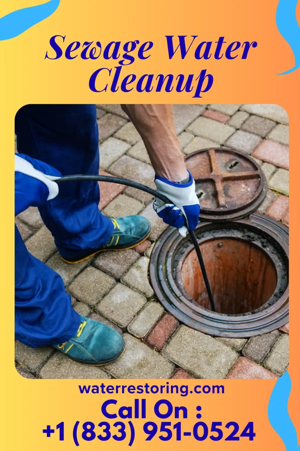 Sewage Water Cleanup in Yorketown, NJ